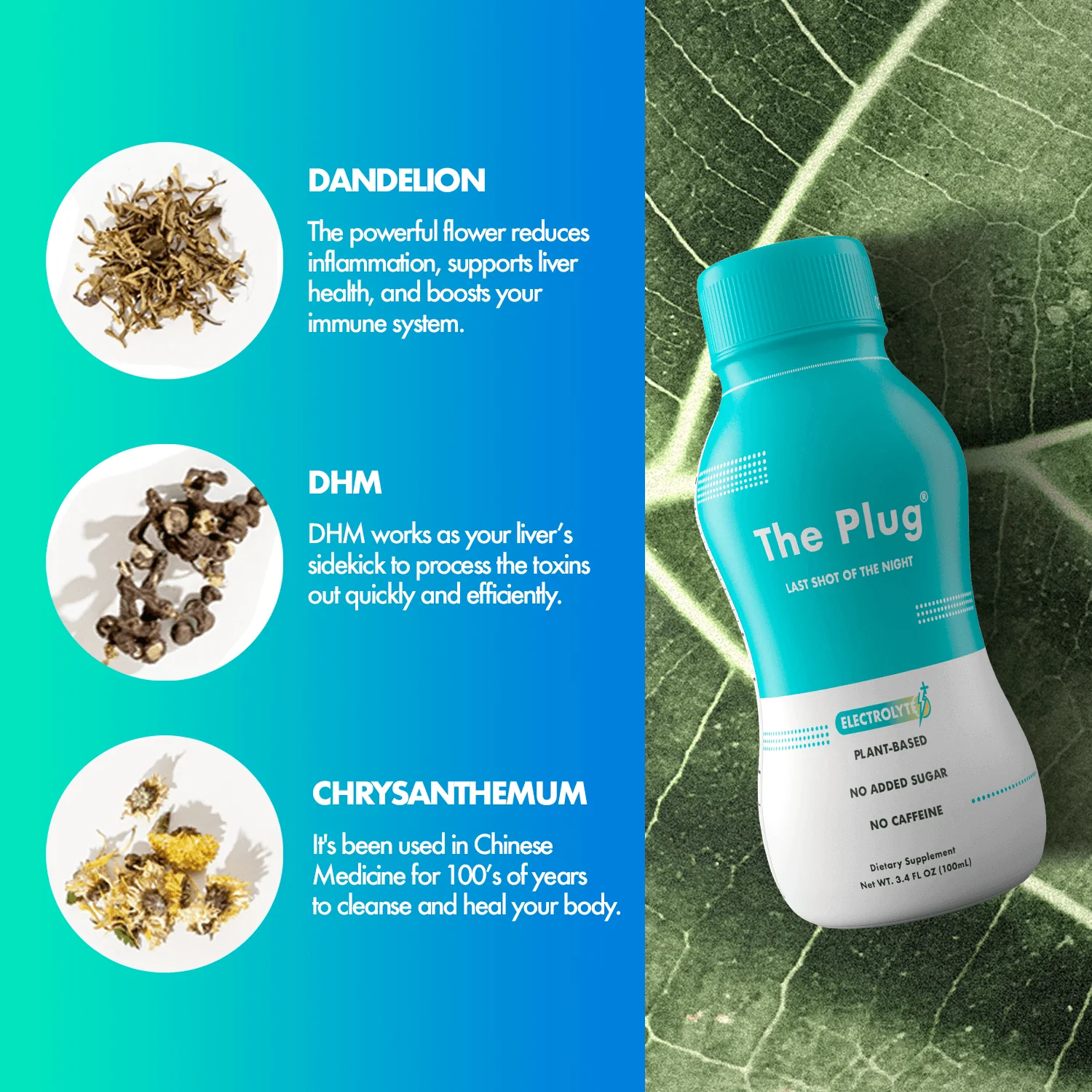 The Plug Liver Drink Plant-based - Image 6